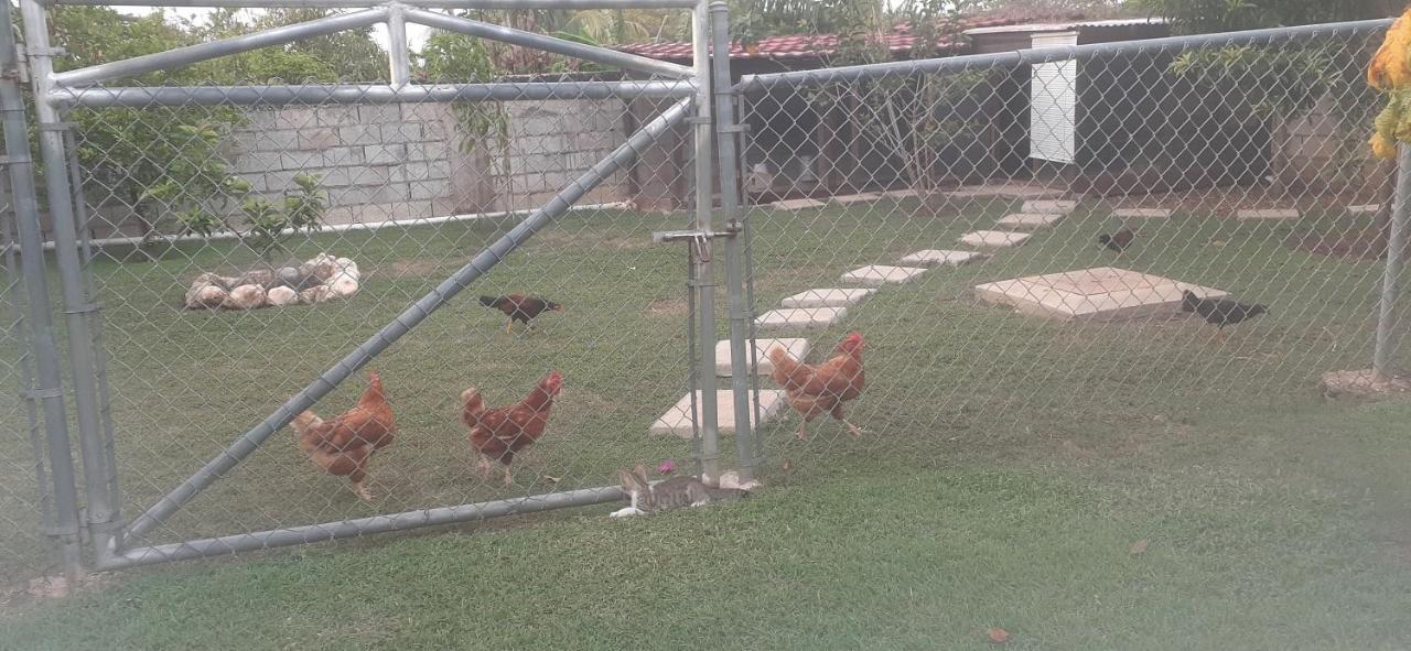 Modrians Bed and Breakfast Runaway Bay Εξωτερικό φωτογραφία