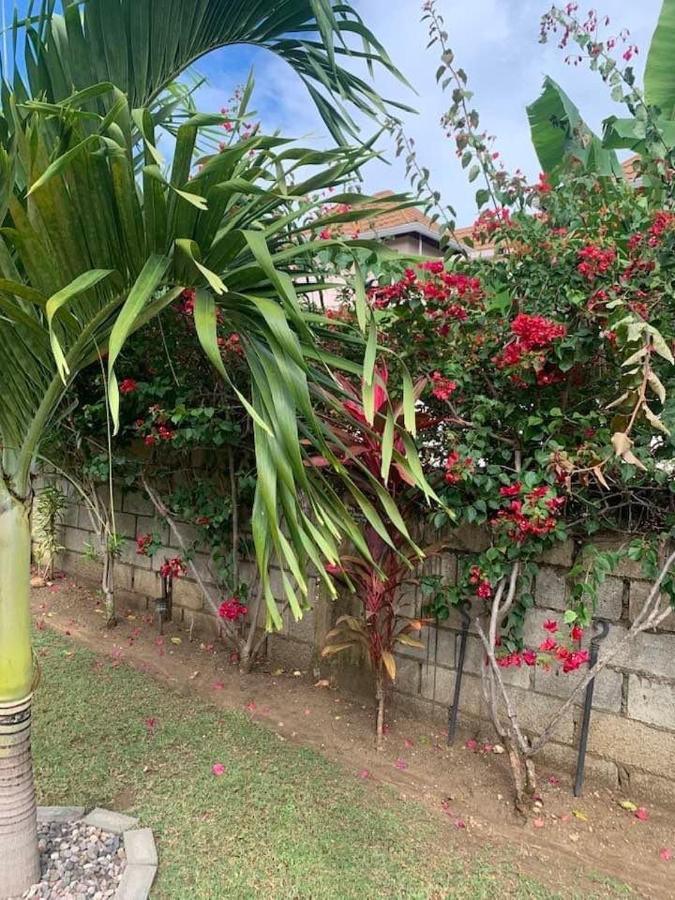 Modrians Bed and Breakfast Runaway Bay Εξωτερικό φωτογραφία