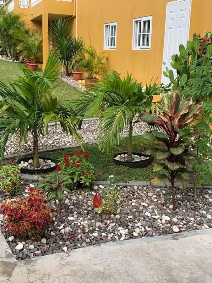 Modrians Bed and Breakfast Runaway Bay Εξωτερικό φωτογραφία