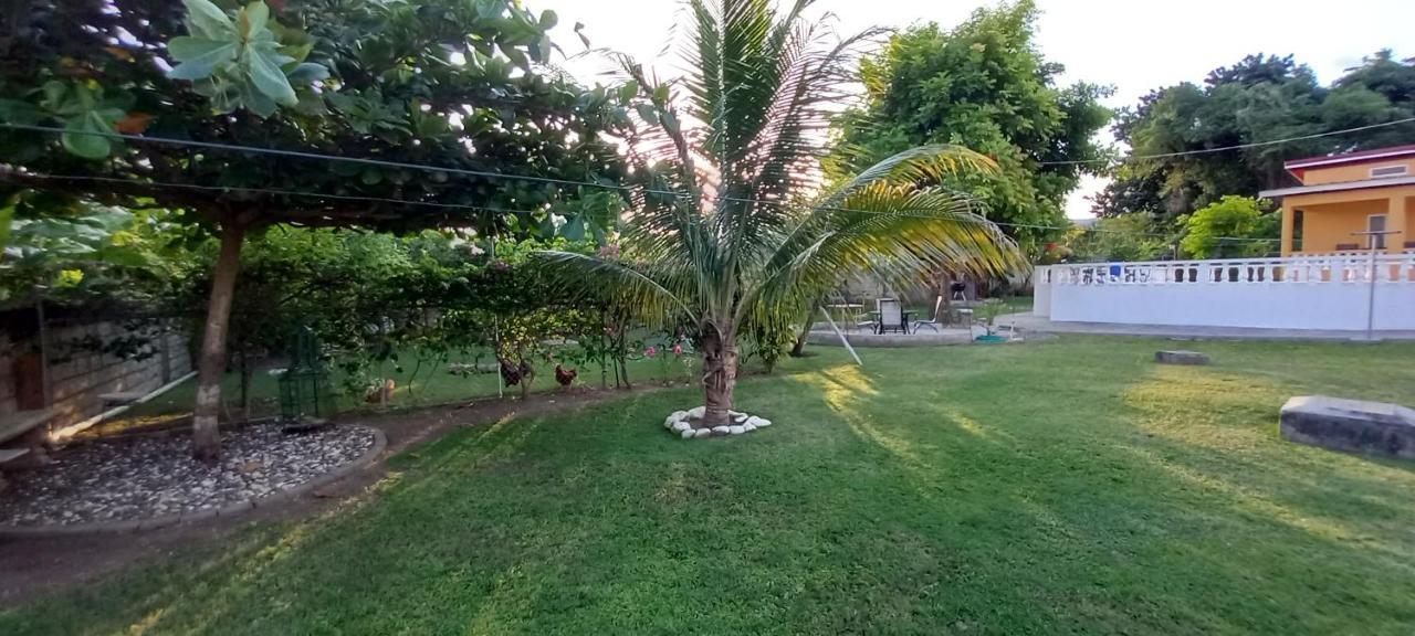 Modrians Bed and Breakfast Runaway Bay Εξωτερικό φωτογραφία